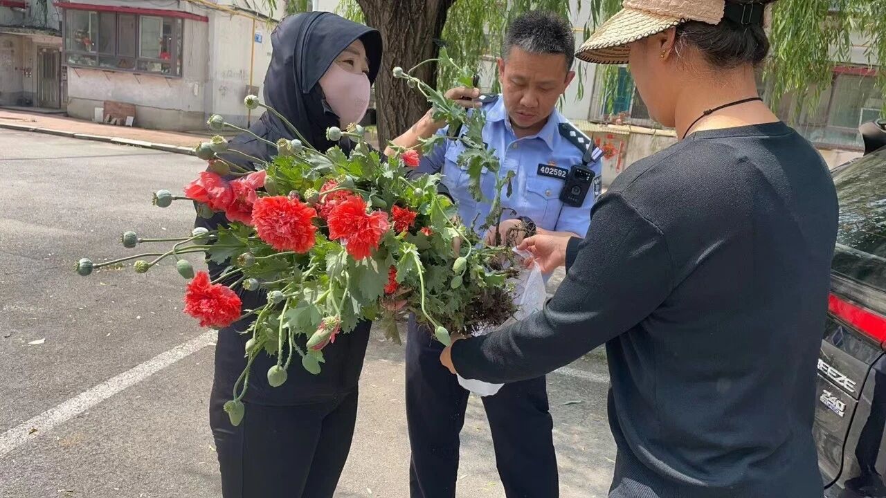 ��˳������벢�ٿ�չϵ�н��������